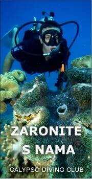 Okomiti statični banner 180x350 pix - Calypso ronilački klub