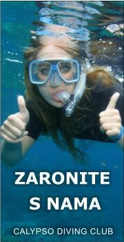 Okomiti statični banner 180x350 pix - Calypso ronilački klub